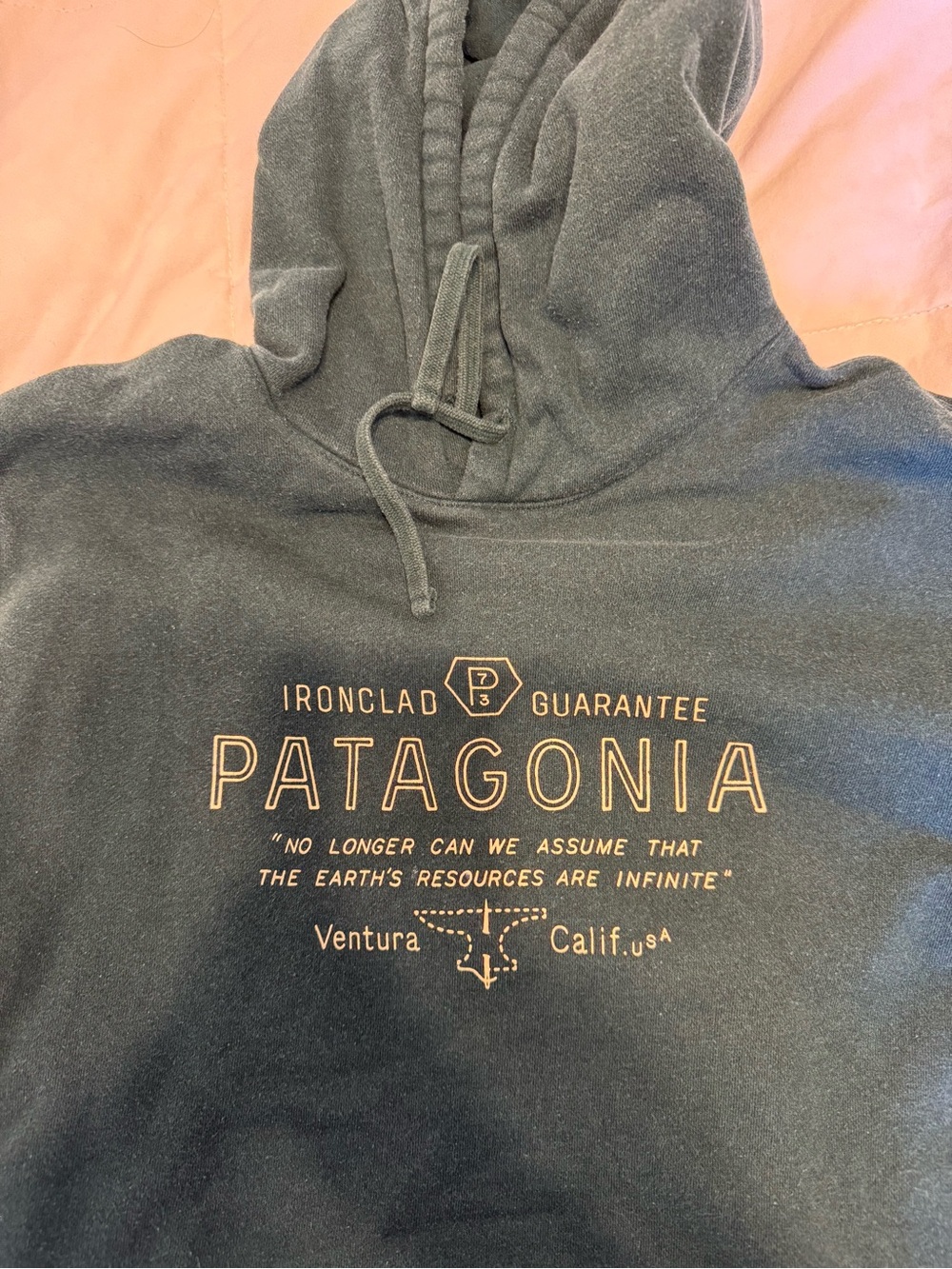 Patagonia Ironclad Guarantee Hoodie - Dark Green